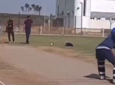 watch shahid afridi hits shaheen afridi for six