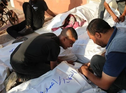 israel used dogs and waterboarding on gaza detainees un report