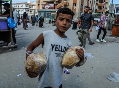 1 4 million palestinians face acute food insecurity in gaza as medicine shortages deepen 1 4 million palestinians face acute food insecurity in gaza as medicine shortages deepen