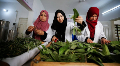 gaza women create cosmetics from local herbs
