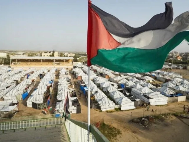 israel has killed more than 73 000 people and injured over 174 000 others in a brutal war in gaza since october 2023 photo anadolu israel has killed more than 73 000 people and injured over 174 000 others in a brutal war in gaza since october 2023 photo anadolu