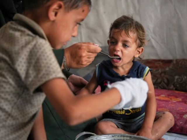 a boy in gaza is fed with food from a community kitchen at the muwasi camp for displaced palestinians in khan younis on 18 may photo ap a boy in gaza is fed with food from a community kitchen at the muwasi camp for displaced palestinians in khan younis on 18 may photo ap