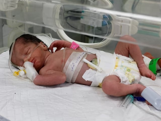 a palestinian baby girl saved from the womb of her mother sabreen al sheikh al sakani who was killed in an israeli strike along with her husband shokri and her daughter malak lies in an incubator at al emirati hospital in rafah in the southern gaza strip april 21 2024 photo reuters mohammed salem
