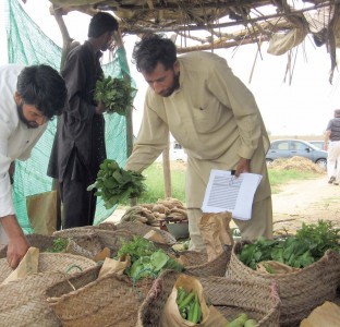 going going gone going going gone