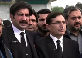 pti leaders barrister gohar sher afzal marwat arrested outside parliament house