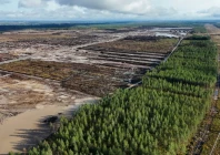 google told afp that its tree felling activities were in compliance with forestry act requirements photo afp