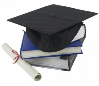 the phd business the phd business