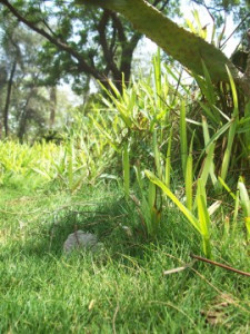 have you met the sun today have you met the sun today