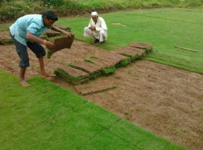 pha moves towards grass autarky to cut purchase expenses pha moves towards grass autarky to cut purchase expenses