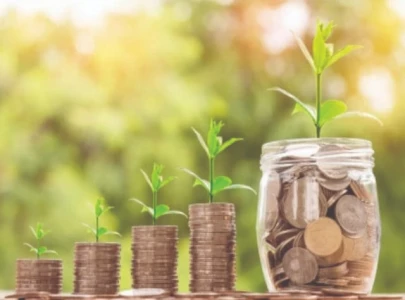 green taxonomy key to climate funds green taxonomy key to climate funds