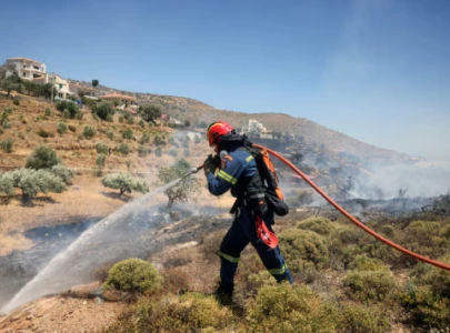 greek firefighters continue to battle wildfires amid fierce winds