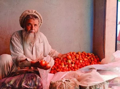 greenhouses of hope resilient farmers from pakistan s north and cop29