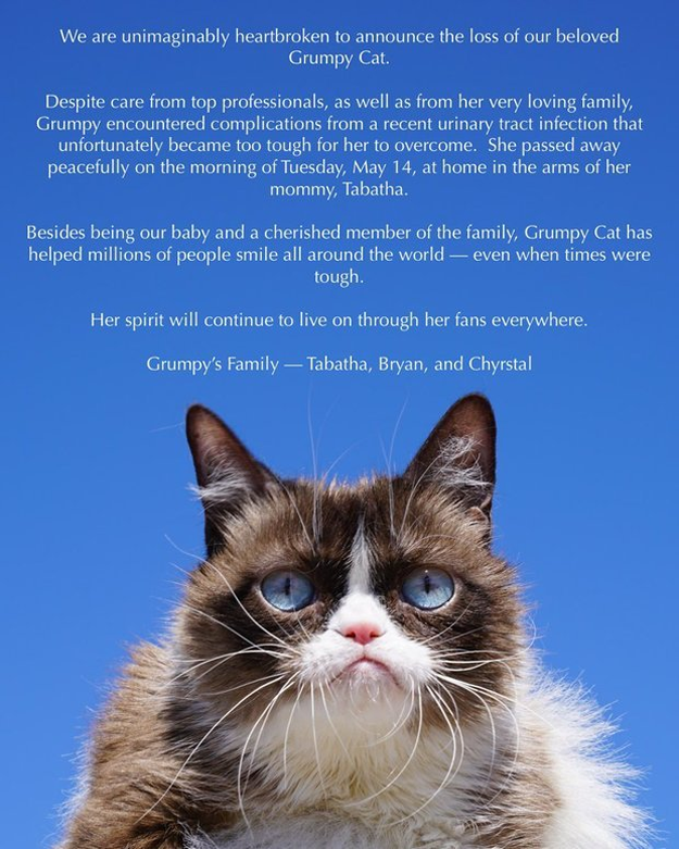 PHOTO: GRUMPY CAT/TWITTER
