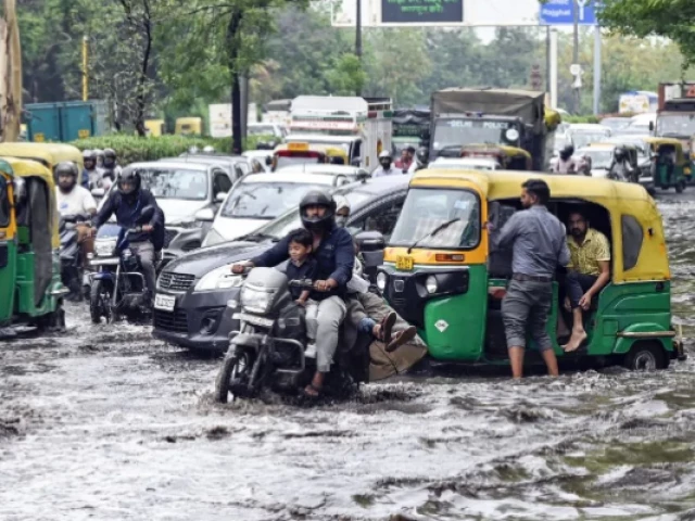 indian gujarat to receive more torrential rain photo file ani indian gujarat to receive more torrential rain photo file ani