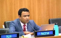 pakistan backs unsc draft on yemen sanctions pakistan backs unsc draft on yemen sanctions