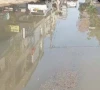 month long sewerage crisis plagues gulshan