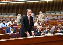 sbp working on exchange interest rates for stability says finmin sbp working on exchange interest rates for stability says finmin