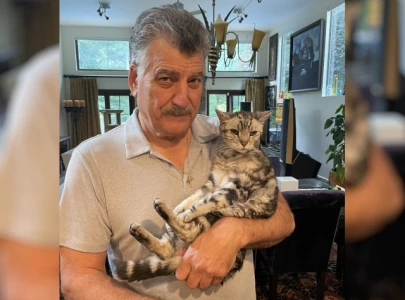 keith hernandez announces death of beloved cat hadji keith hernandez announces death of beloved cat hadji