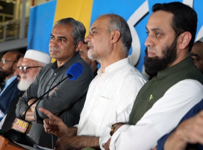 govt ji reach agreement to lower electricity prices task force to review ipps contracts