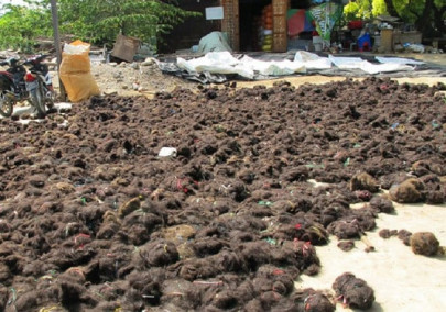 pakistanis catching up on women s hair trade
