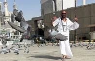 a muslim pilgrim walks among pigeons near the grand mosque in mecca saudi arabia may 19 reuters