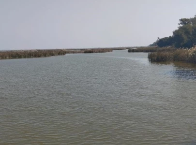 world wetlands day haleji lake faces ecological crisis