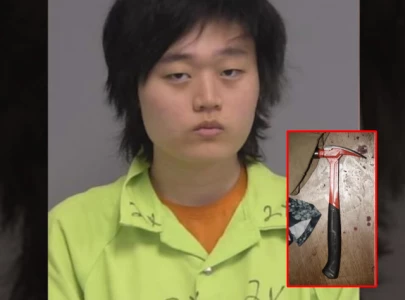 20 year old flew to florida to kill fellow gamer with a hammer