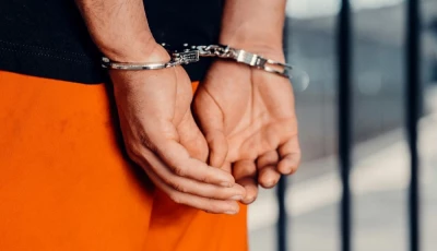 interpol arrested several members of child abuse gang photo pexels