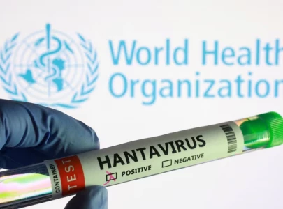 experts race to write guidance to contain first ship borne hantavirus outbreak