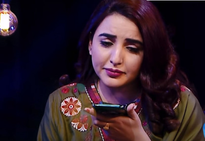 watch sheikh rasheed shuts down hareem shah in recent video watch sheikh rasheed shuts down hareem shah in recent video