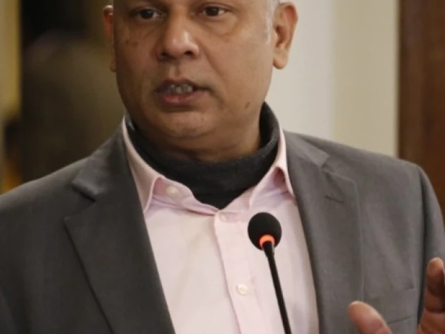 hrcp s secretary general haris khalique