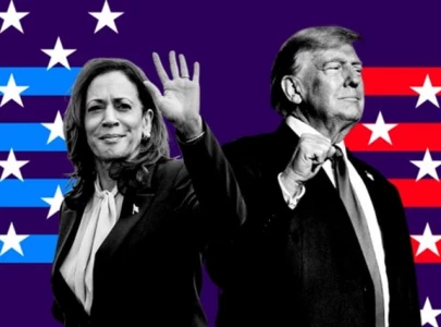 polarisation named merriam webster s word of the year