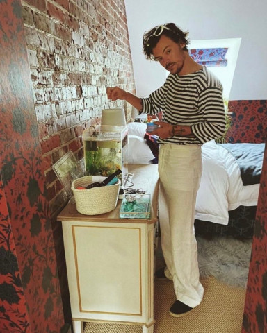 harry styles crashes at fan s house after car breaks down harry styles crashes at fan s house after car breaks down
