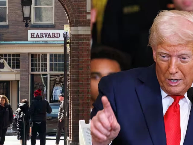 the trump administration has launched a widely condemned crackdown against top us universities including harvard photo file
