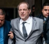 harvey weinstein back at bellevue hospital with covid 19 and pneumonia harvey weinstein back at bellevue hospital with covid 19 and pneumonia