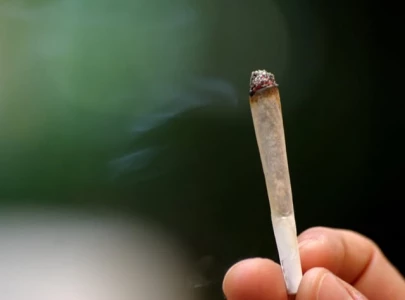 everyone in the country is consuming hashish says mandviwalla