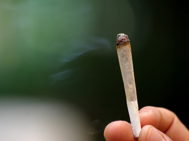 officials say if hashish is legalised it could generate 5 billion in revenue photo file officials say if hashish is legalised it could generate 5 billion in revenue photo file