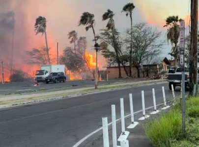 maui wildfires kill six as apocalypse strikes hawaiian paradise