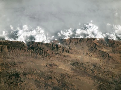 slf champions mountain ecosystems