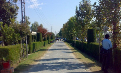 nine injured as two student groups clash