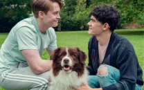 heartstopper dog echo who played nellie dies leaving fans devastated heartstopper dog echo who played nellie dies leaving fans devastated