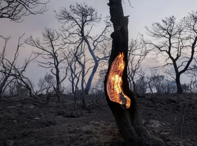 meet the heat storm 7 takeaways from reuters investigation that gave supersized heat waves a new name