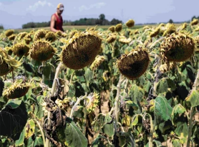 europe s heatwave rages on europe s heatwave rages on