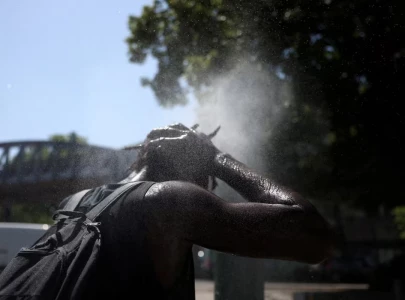 europe recorded 10 000 excess deaths during late june heatwave data show