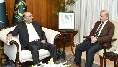 a meeting between president asif ali zardari and prime minister shehbaz sharif on tuesday ppp