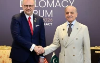 trump aide expresses appreciation for pakistan s role in regional stability in antalya meeting with pm shehbaz