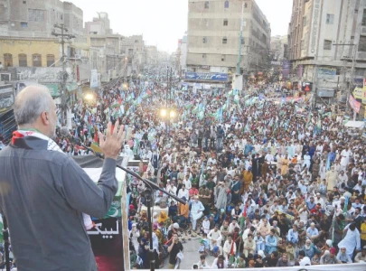 field marshal must act on kashmir palestine too hafiz naeem field marshal must act on kashmir palestine too hafiz naeem