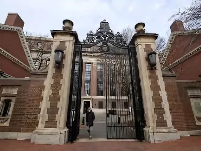 a person walks through harvard yard at harvard university in cambridge massachusetts us december 7 2023 photo reuters a person walks through harvard yard at harvard university in cambridge massachusetts us december 7 2023 photo reuters