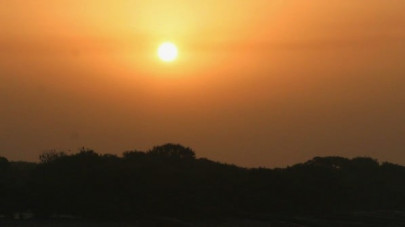 65 pakistanis claim to be early birds