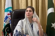 punjab women protection authority chairperson and punjab assembly member hina pervez butt photo file punjab women protection authority chairperson and punjab assembly member hina pervez butt photo file